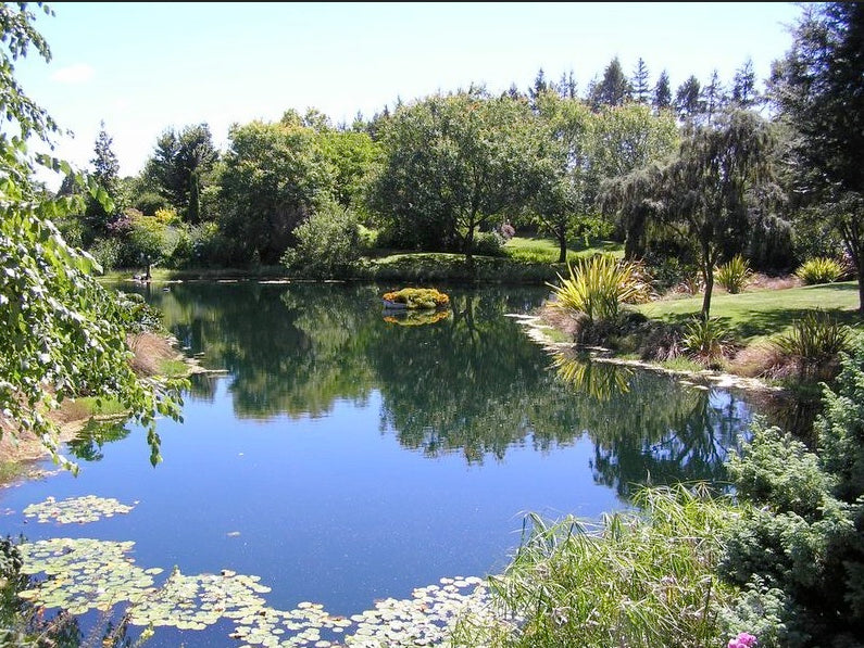 Supplies And Resources For Ponds, Lakes And Water Features