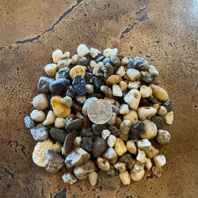 3/4" Salt & Pepper - 13651