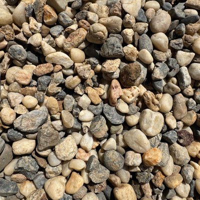 3/4" Salt & Pepper - 13651