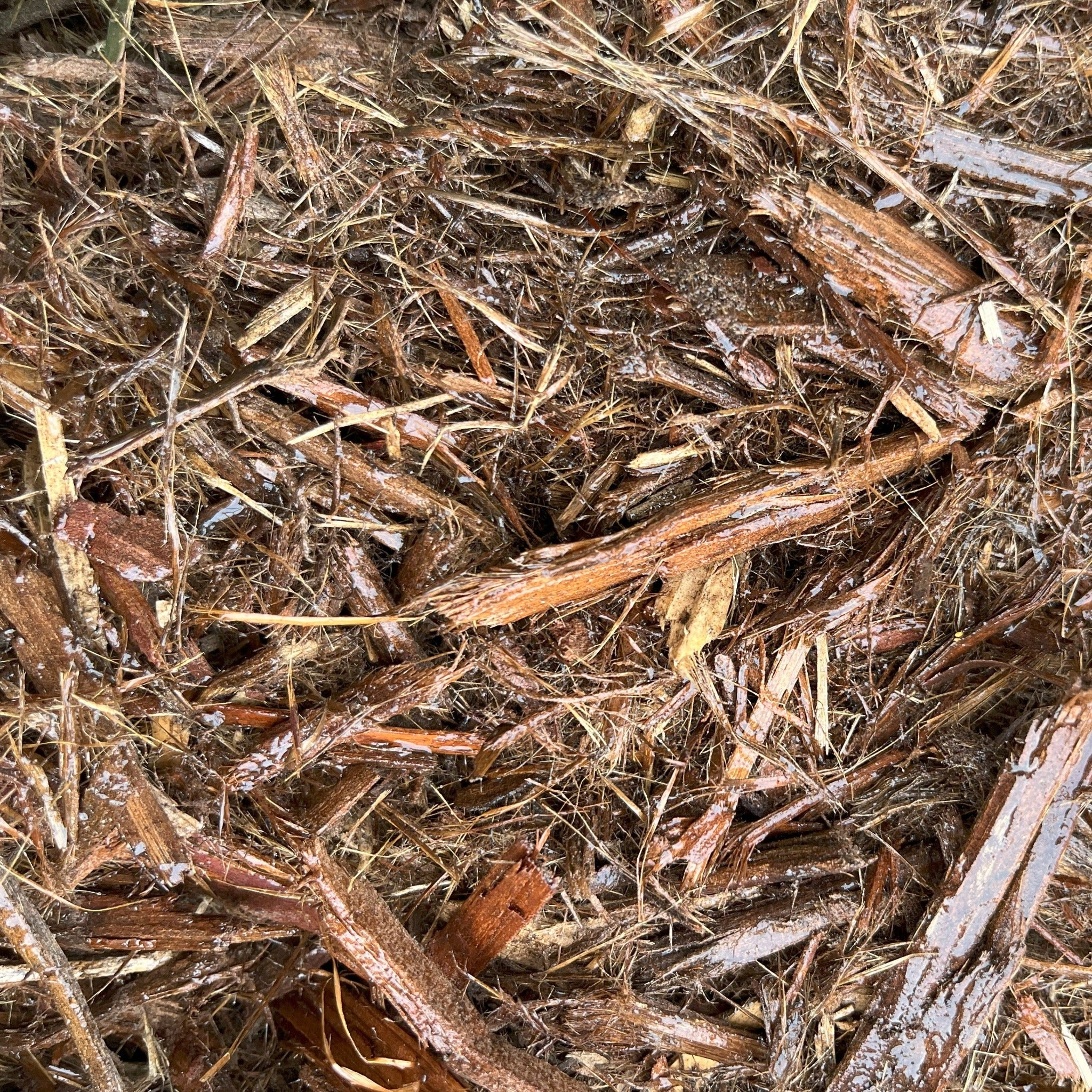 【新品】oldsea Mulch woodunder Colored wood chip mulch (20-40mm) – Black | Aggregare