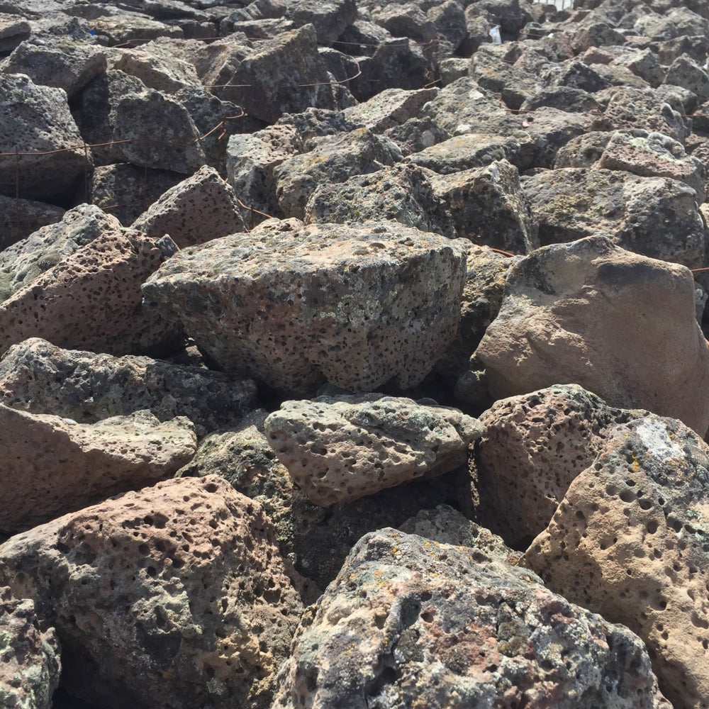 Black Lichen Wall Rock - 80175